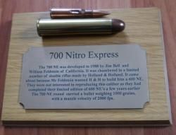 ММГ патрона - 700 калибр Nitro Express