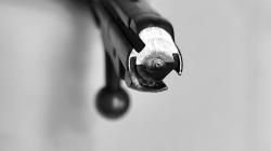 ММГ винтовка Мосина ВПО-912 (1943г.)