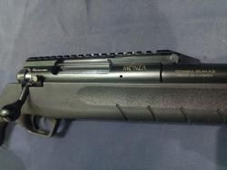 Monza, кал.308Win