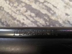 MOSSBERG 243 Win
