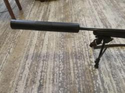 MOSSBERG 243 Win