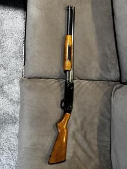 Mossberg 500