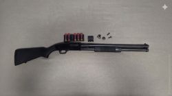 Mossberg 500