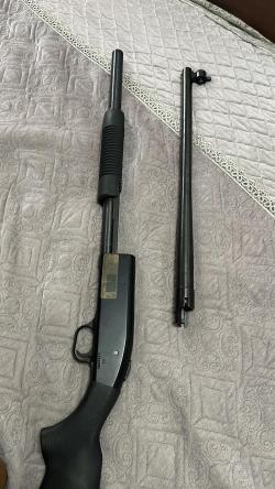 Mossberg