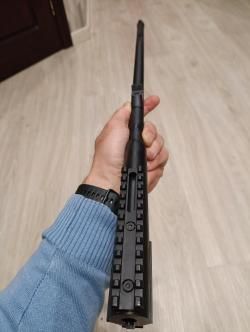 МР 121 Лис 223 Rem