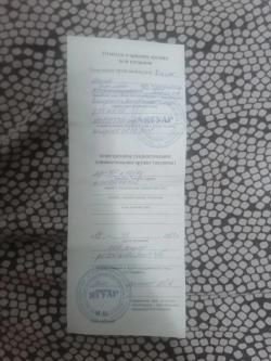 Мр 155 Русич камуфляж