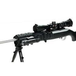 На RUGER 10/22 рукоятки перезарядки, планки, магазин релиз, Quad Rail + магазины 22lr