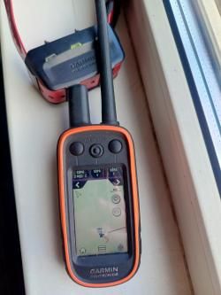 Навигатор Alpha 100 с ошейником T15