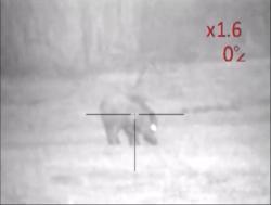 Цифровой Ночник pulsar N870