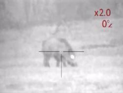 Цифровой Ночник pulsar N870