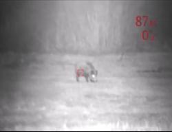 Цифровой Ночник pulsar N870