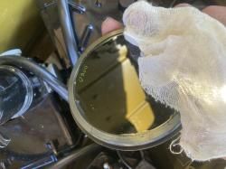 Ночной прицел НСП-2