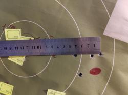 Винтовка ATA ARMS Turqua PT Laminated Red