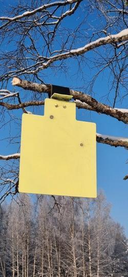 Охотничий стрелковый комплекс в калибре 6.5 creedmoor