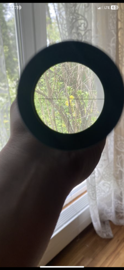 Оптический прицел Carl Zeiss Diavary 3-12x56