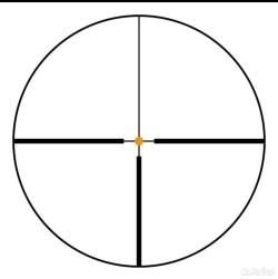 Оптический прицел Swarovski z6i1*6*24 ll L