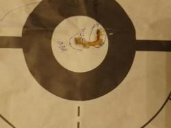 Оптический прицел 