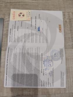 ORSIS SE LR 120 30-06