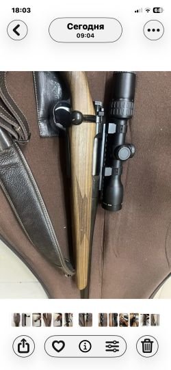 Орсис