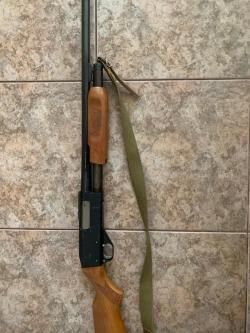 Оружие ИЖ-81, калибр 12