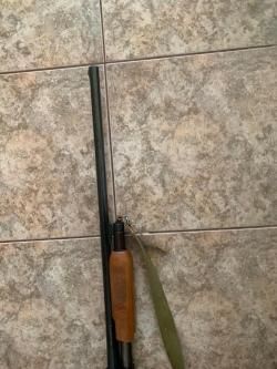 Оружие ИЖ-81, калибр 12