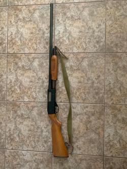 Оружие ИЖ-81, калибр 12