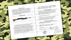Паспорта / ММГ / Алатырь / ДП-27 / Мосина / Мосина с оптикой / новый /