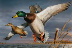 Патрон "ДЛЯ ОХОТЫ" от ГЛАВПАТРОН в ассортименте в оружейном салоне "Люберецкий Арсенал"