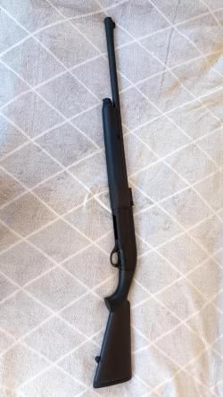 Pegasus два ствола