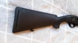 Pegasus два ствола