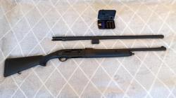 Pegasus два ствола