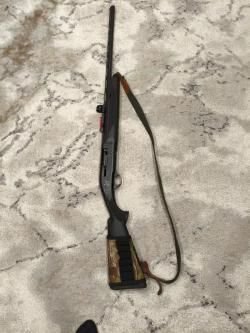 Pegasus Standart Plastic, кал. 12.76