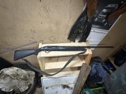 Pegasus standart plastic