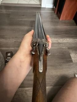 Pieper Bayard к.12