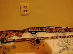 Пинта Зафирус