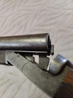 Пипер Баярд (Бельгия)