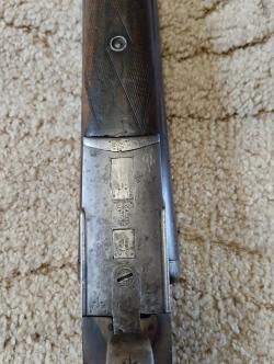 Пипер Баярд (Бельгия)