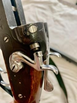 Пипер "Баярдъ