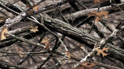 Пленка ПВХ камуфляж (выбор)