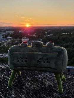 Плюшевая Мон 50