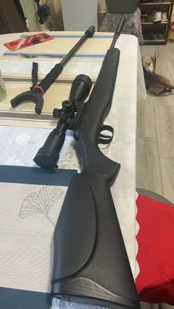 Пневматическая винтовка Diana Panther 350 Magnum Professional (4.5 мм)