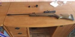 Пневматическая винтовка Gamo Hunter 440 (дерево, 3 Дж) с оптическим прицелом