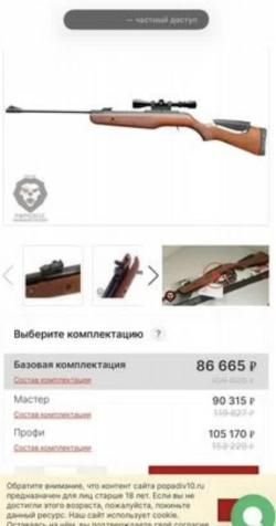 Пневматическая винтовка Gamo Hunter IGT 4,5 