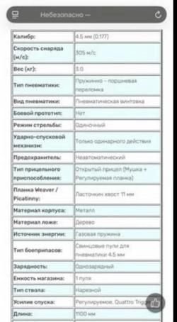 Пневматическая винтовка Gamo Hunter IGT 4,5 