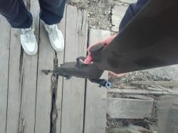 Пневматическая винтовка MP 512 в Уссурийске