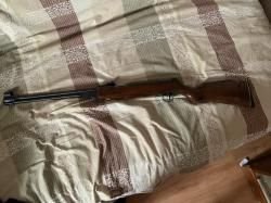 Пневматическая винтовка 