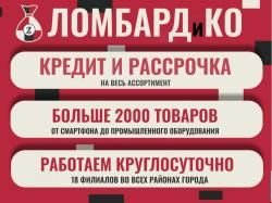 Пневматический пистолет Borner C11