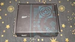 Пневматический пистолет Макарова МР- 654К