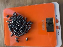 Полнотелый слаг 6.35, 3гр