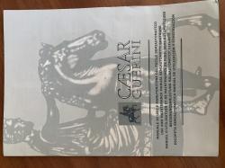 Полуавтомат Цезарь Гуерини / Caesar Guerini MMI